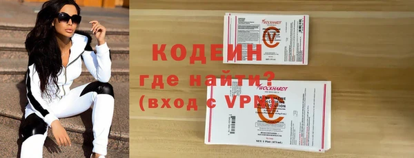 индика Киренск