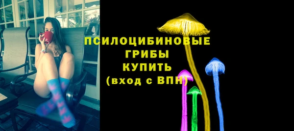 твердый Армянск