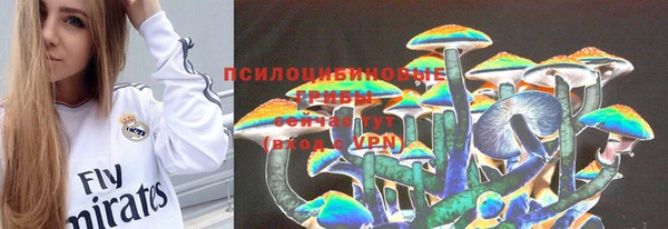дмт Аркадак