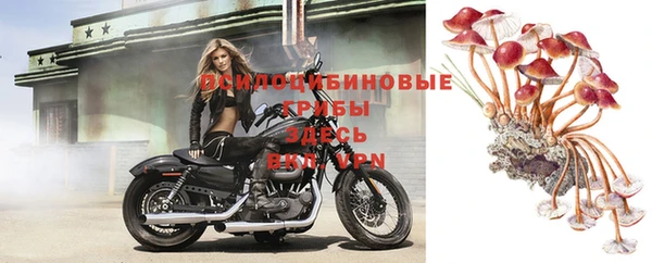 амфетамин Коряжма