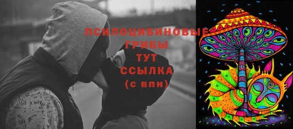 дмт Арсеньев
