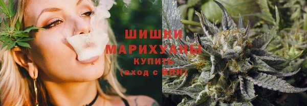 дмт Арсеньев