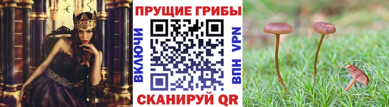 Галлюциногенные грибы MAGIC MUSHROOMS  ссылка на мегу рабочий сайт  Белёв  купить наркотик 